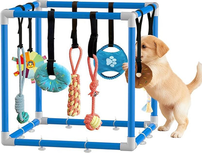 Puppy Play Gym with 8 Hanging Toys Indoor Play Gym Interactive Dog Toys for Boredom Enrichment Activity for Small Dog Teething PVC Frame Stretchy Rope with Velcro (Blue,19.6 x 19.6 x 19.6 inch)