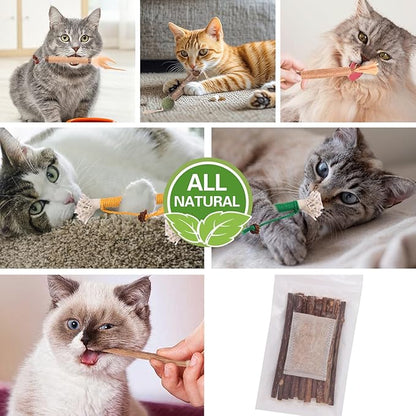 Kyouki Cat Toys Cat Chew Toys, Silvervine Sticks Catnip Rope Toys for Cats Teeth Cleaning, Kitten Dental Care, Kitty for Indoor Cats Increase Appetite,Enhances Oral & Dental Health (20 Pack)