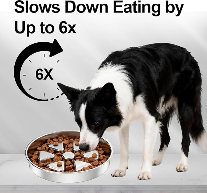 Kactoily 304 Stainless Steel Slow Feeder Dog Bowl, 2.5 Cups Non-Slip Pet Bowl, Raised Design for Slow Eating & Digestive Health - Perfect for Medium Large Dogs