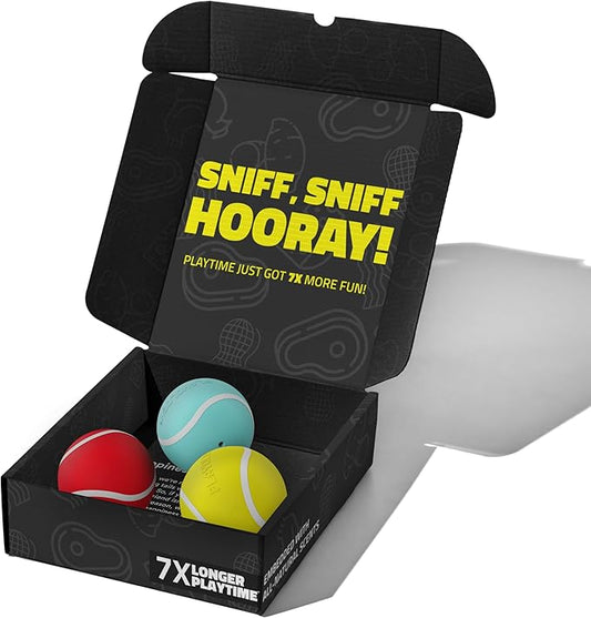 Playology Dog Toys | Rainbow of Scent Chew Toy Gift Box - Medium Squeaky Chew Balls for Dogs | Peanut Butter, Chicken, & Beef Scented Toys - Easy to Clean and Made from Non Toxic Materials