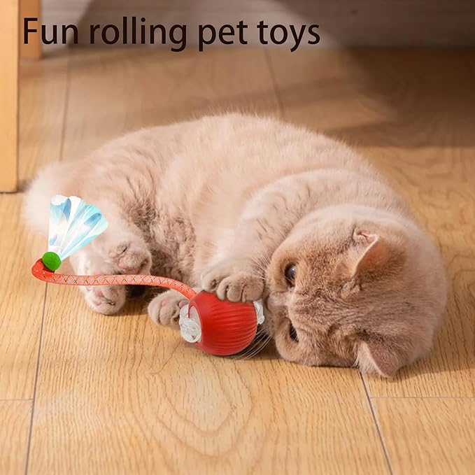 Interactive Cat Toy Ball - 2Pcs Speedy Cat Toys for Indoor Cats with Feather Tails for Chasing with 2Pcs Replaceable Tails ，Automatic Kitten Toys for Bored Indoor Adult Cats