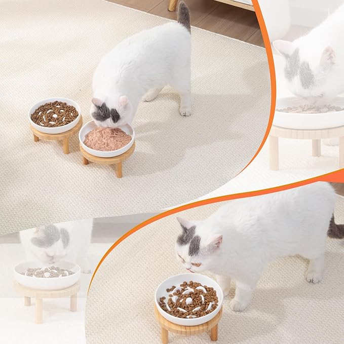 Raised Slow Feeder Cat Bowl, 5.9 Inch Wide Shallow Ceramic Elevated Glass Food Bowl Puzzle Feeders, Anti Vomit Cat Dish, Whisker Friendly Pet Plates Feeding Station for Indoor Cats, Kitten(1 Set)