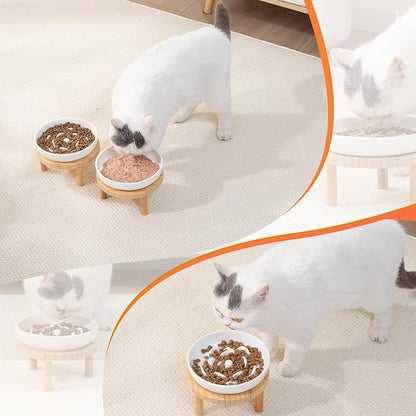 Raised Slow Feeder Cat Bowl, 5.9 Inch Wide Shallow Ceramic Elevated Glass Food Bowl Puzzle Feeders, Anti Vomit Cat Dish, Whisker Friendly Pet Plates Feeding Station for Indoor Cats, Kitten(1 Set)