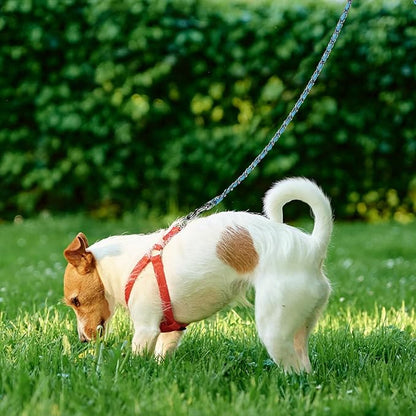 HOMIMP Chew Proof Dog Leash for Medium Large Dogs, Reflective 6 FT Heavy Duty Metal Chain Dog Leashes with Soft Padded Handle, Anti Bite Durable Rope Leashes for Pitbull, Non Chewable, Light Blue