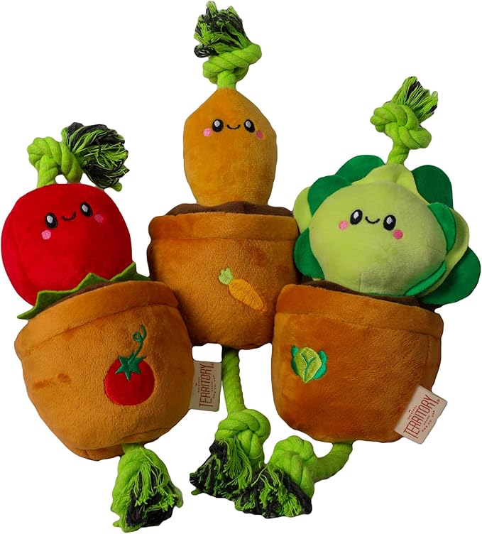 Territory Interactive Play Plush Treat-and-Tug Reward Toy for Dogs, Lettuce