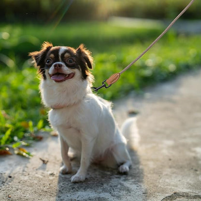 Mile High Life Small Dog Leash, Thin Rope Leash with Genuine Leather Connection and Heavy Duty Metal Clasp, Great for Small Medium Dogs(Brown,60 Inch-1/3)