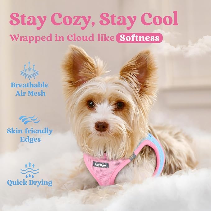 rabbitgoo Small Dog Harness, Step-in Soft Mesh Puppy Vest with Safety Buckle, Breathable Reflective Pet Harness for Small Sized Dogs, Blue & Light Pink XS