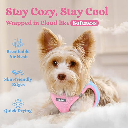 rabbitgoo Small Dog Harness, Step-in Soft Mesh Puppy Vest with Safety Buckle, Breathable Reflective Pet Harness for Small Sized Dogs, Blue & Light Pink XS