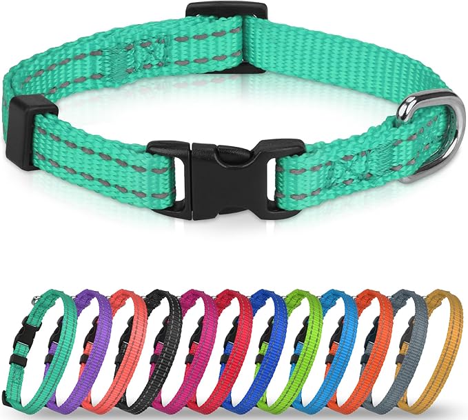 Joytale Puppy Collar, Feather-Light Double-Sided Reflective Nylon Collar for Night Safety, Adjustable Quick-Release for Extra Small Dogs, Teal, XS (3/8" Width)
