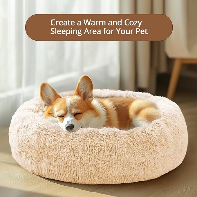 JOLLYVOGUE Calming Small Dog & Cat Bed for Indoor Cats - 20 inches Washable Donut Bed for Kittens & Puppies, Anti-Anxiety Round Fluffy Plush Pet Beds (Fits up to 15 lbs, Off White)