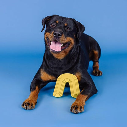 Fringe Studio Color ME Happy Yellow Rubber Dog Toy, Pet Shop Collection (518037)