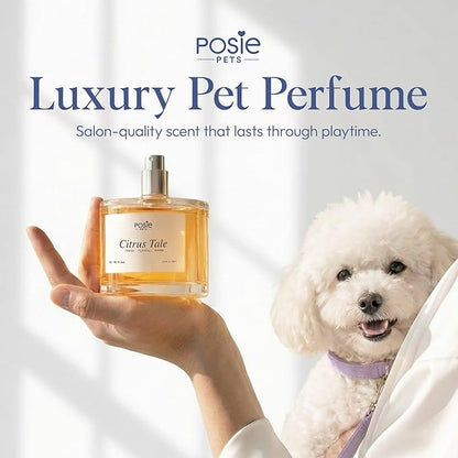 Dog Perfume Spray Long Lasting with Orange Blossom, Lavender, Vanilla Scent - Water-Based, Vegan Cologne - Luxury, Alcohol-Free Grooming Deodorizer for Dogs - Citrus Tale, 3.4 Fl Oz
