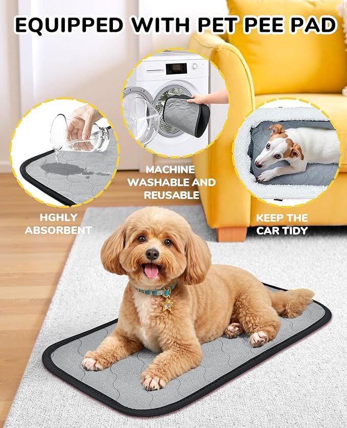 BurgeonNest Center Console Dog Car Seat for Small Dogs, Puppy Cat Car Seat Booster with Soft Cushion Safety Belt, Seats Safe & Cozy Metal Frame Armrest Dog Booster Pet Under 11 lbs (Graffiti)