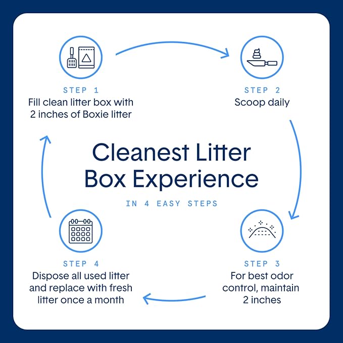 Boxie® Glo™ 30 Day Odor Control Non-Clumping Crystal Cat Litter, 6 lb, Natural Attractions, UV Light Attractant, Soft Granules, 99.9% Dust-Free, Long-Lasting for Multi-Cat Homes