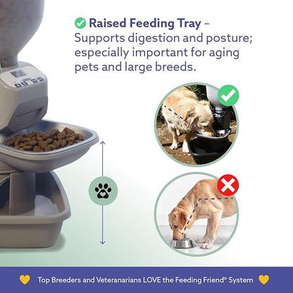 Feeding Friend® Automatic Dog & Cat Food Feeder with Water Dispenser –Smart Pet Feeder with Portion Control, OLED Display, Anti Jam Design, Battery Operated Dispenser for Small - (XS) Pets 4-15 Taupe