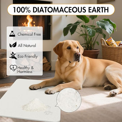 Newest Diatomite Stone Pet Feeding Mat for Dog&Cat–Super Absorbent Diatomite Fast Drying Stone Dog Food Mat, Quick Dry Dog Mats for Food and Water with Non-Slip Pad (24×16'', Off White, Square)