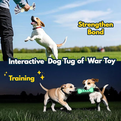 Glow-in-The-Dark Dog Toy – Interactive Fetch, Tug & Treat Puzzle for Small Dogs, 13” Lightweight Flying Disc with Dental Cleaning Texture, TPR & Rope Calming Chew Toy for Anxiety Relief