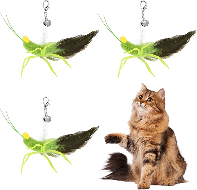 3 Pcs Cat Feather Toys, Interactive Cat Toys with Feather Simulation Insects Grasshopper Refills Interactive Cats Teaser Wand Attachments for Cats Kitten Wand