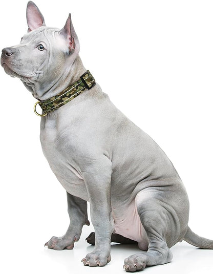 MOODEL Reflective Dog Collar for Medium Dogs, Cute Camouflage Adjustable Heavy-Duty Nylon Puppy Collar for Boy and Girl Female, Soft Pet Accessories with Quick Release Buckle, Green