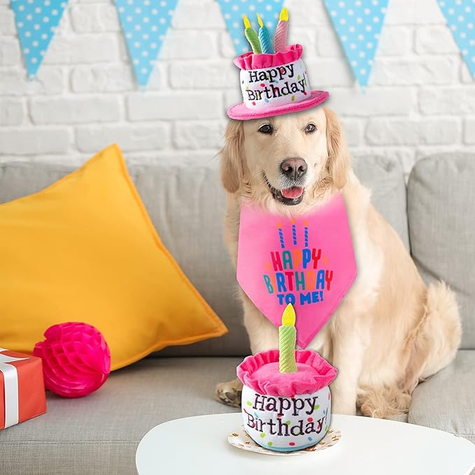 Dog Birthday Cake Toys, Happy Birthday Cake Shaped Squeaky Dog Toys for Small & Medium Dogs | Funny Dogs Gifts | Plush Dog Party Toys, Small, Pink