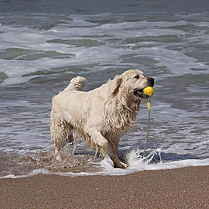 2 Pack Ball with Rope Dog Toy,Fling Dura Foam Toy,Dog Water Float Ball Rraining Boall on Rope (1 * 7cm/2.8"+1 * 9cm/3.5")