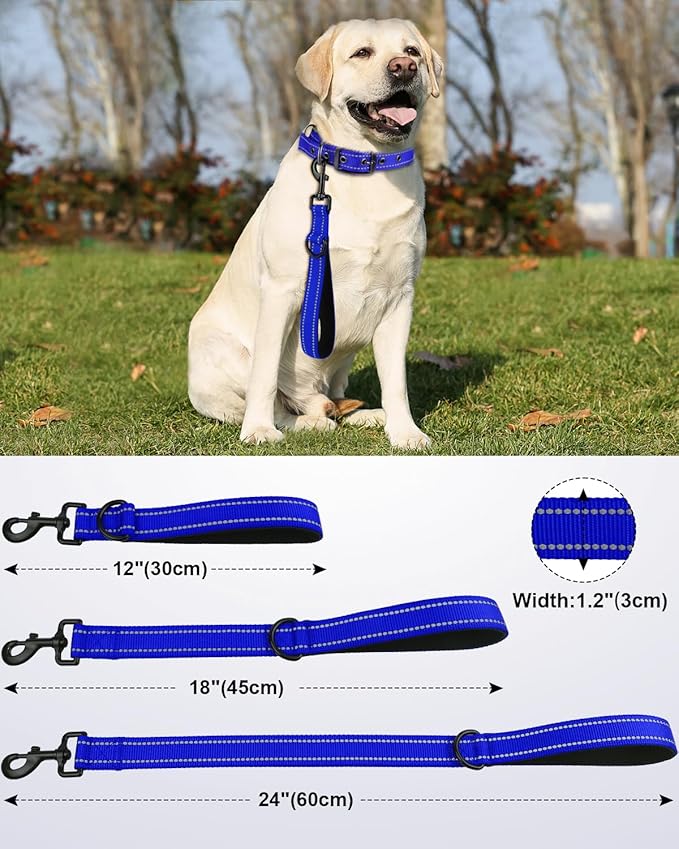 Joytale Strong Short Dog Leash 2FT, 1.2 Inch Wide, Heavy Duty, Padded Handle for Traffic Control, Reflective Leash for Medium and Large Dogs Walking Training, Royal Blue