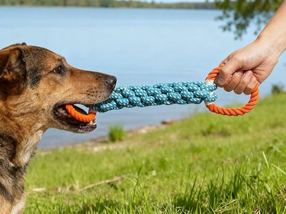 Dog Rope Toy for Large Dogs, Orange & Blue Braided Rope with Round Handles, Durable Dog Chew Toys for Aggressive Chewers, Ideal Big Dog Toys for Tug of War Dog Toy & Teeth Cleaning