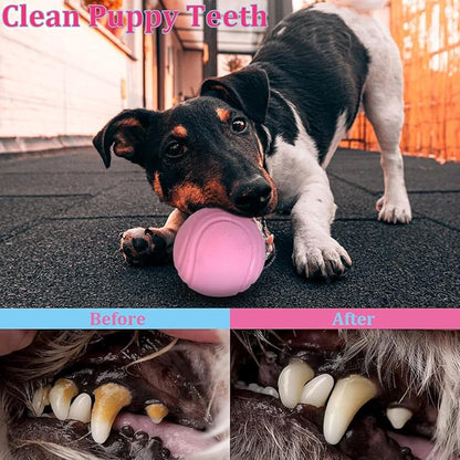 Puppy Toys Set - 20 Pack Pink Dog Chew Toys for Teething Small Breeds - Tough Rope Toys for Puppies, Cute Soft Rubber Toys Bundle with Basket for Girl Pets