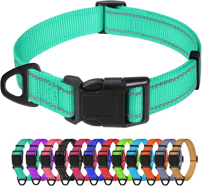 TagME Reflective Nylon Dog Collars, Adjustable Classic Pet Collar with Quick Release Buckle for Medium Dogs, Turquoise, 1.0" Width