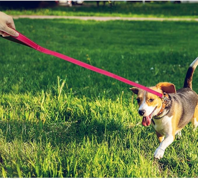 FunTags 4FT Reflective Dog Leash with Soft Padded Handle for Training,Walking Lead for Medium & Small Dogs,3/4 Inch Wide,Hotpink