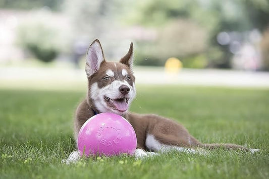 Jolly Pets Toys 881155 Jolly Bounce-N-Play Dog Toy, 4.5-Inch, Pink