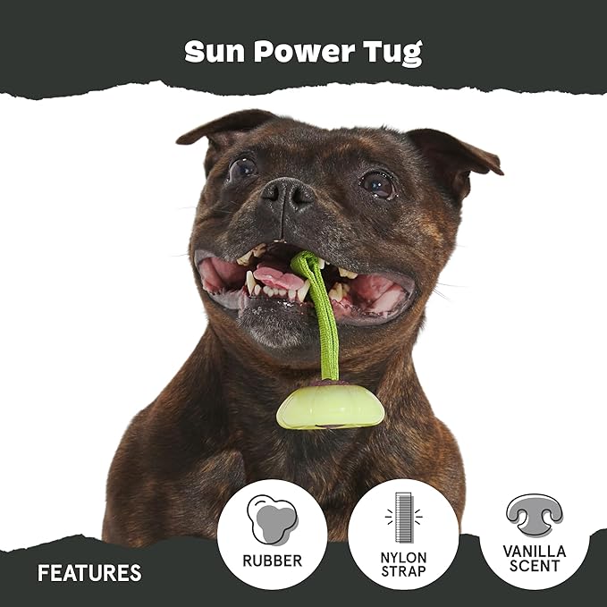 BARK Sun Power Tug Rope Toy for Dogs & Puppies - Medium
