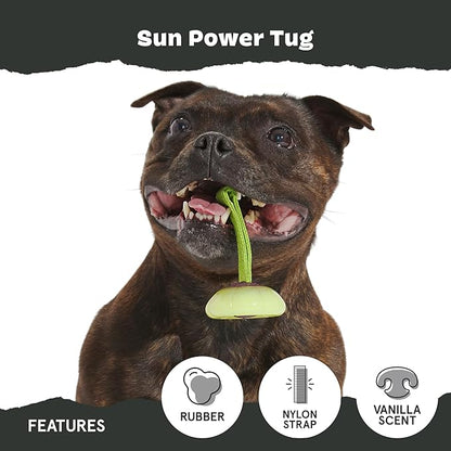 BARK Sun Power Tug Rope Toy for Dogs & Puppies - Medium