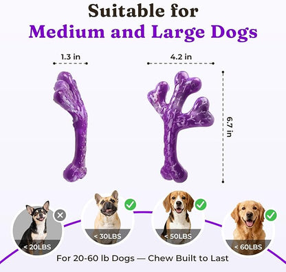 XL Cactus Indestructible Dog Chew Toys for Aggressive Chewers - 2 Pack Beef Flavored Nylon Bones for Large Dogs 20-90 lbs, Long Lasting & Keeps Them Busy