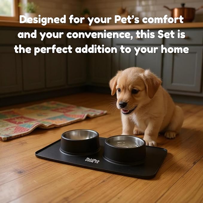 BoldPet® Dog Food and Water Bowl Set - Food Grade,Non-Slip Design Silicone Mat - Includes 2 Removable Stainless Steel Dog Bowls for Small Dogs - Perfect Puppy Bowls Set - Pet Bowls for Dogs and Cats
