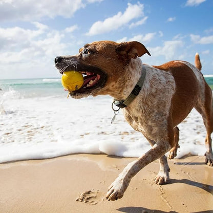 Waboba Fetch Water Ball for Dogs (New Version), Yellow