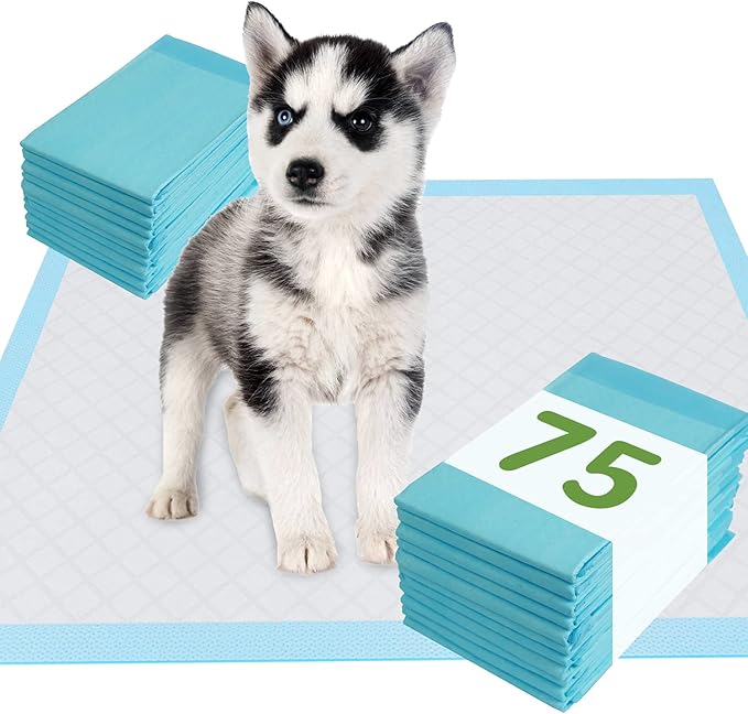 Pet Training and Puppy Pads 24"x24" (75 Count), Super Absorbent Pee Pads for Dogs, Leak-Proof Dog Potty Training Pads for Puppies, Cats, Rabbits, Disposable Pet Pads for Housetraining