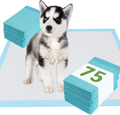Pet Training and Puppy Pads 24"x24" (75 Count), Super Absorbent Pee Pads for Dogs, Leak-Proof Dog Potty Training Pads for Puppies, Cats, Rabbits, Disposable Pet Pads for Housetraining