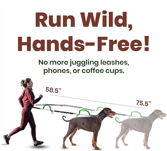 𝐇𝐞𝐚𝐯𝐲 𝐃𝐮𝐭𝐲 Hands Free Dog Leash for 2 Dogs – Dual Bungee Running Leash with Adjustable Waist Belt, Tangle-Free 360° Swivel, Shock Absorbing, Padded Handles & Zipper Pouch