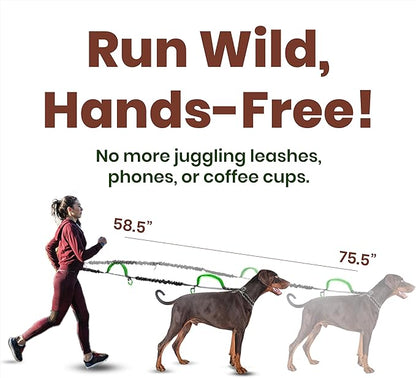 𝐇𝐞𝐚𝐯𝐲 𝐃𝐮𝐭𝐲 Hands Free Dog Leash for 2 Dogs – Dual Bungee Running Leash with Adjustable Waist Belt, Tangle-Free 360° Swivel, Shock Absorbing, Padded Handles & Zipper Pouch