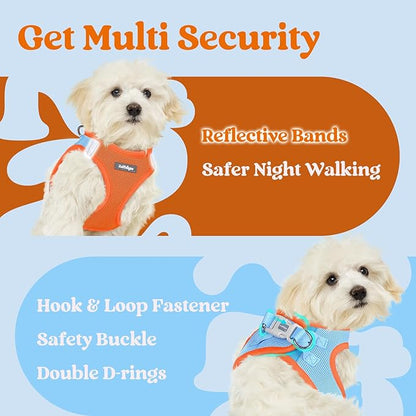 rabbitgoo Small Dog Harness, Step-in Soft Mesh Puppy Vest with Safety Buckle, Breathable Reflective Pet Harness for Small Sized Dogs, Blue & Orange M