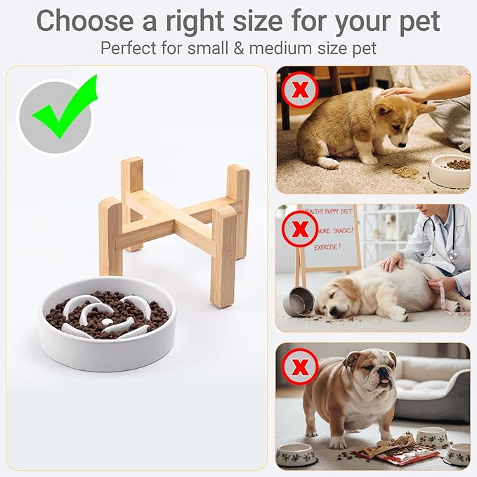 Ceramic Slow Feeder/Dog Bowl for Small Medium Dogs,Elevated/Raised Slow Feeding Dog Food Water Dish Heavy Weighted,Puzzle Eating Bowl Modern Maze (White, 8.26in)