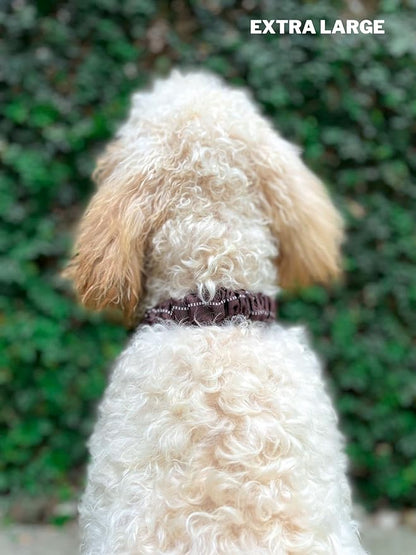 Tuff Pupper Heavy Duty Dog Collar with Handle | Ballistic Nylon Heavy Duty Collar | Padded Reflective Dog Collar with Adjustable Stainless Steel Hardware | Convenient Sizing for All Breeds