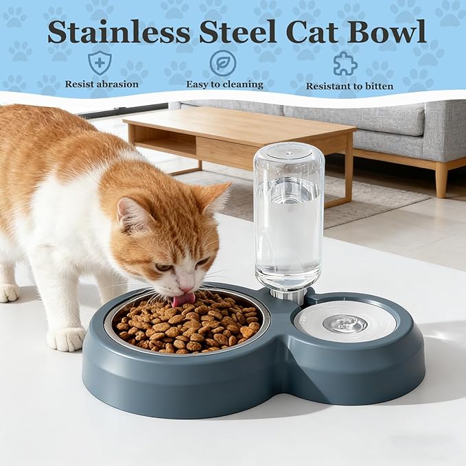 Double Dog Cat Bowls, Pets Food and Water Bowl Set with Automatic Water Dispenser and Stainless Steel Bowl Silicone Dog Bowl Mat, Gravity Feeder for Cats and Small Dogs Puppies (Blue)