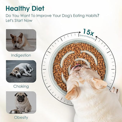 vancasso Slow Feeder Dog Bowl, 0.6 Cups Ceramic Dog Food Dish for Fast Eaters Small Breed, Puzzle Bowl for Small Dogs and Cats, Grayish Cyan