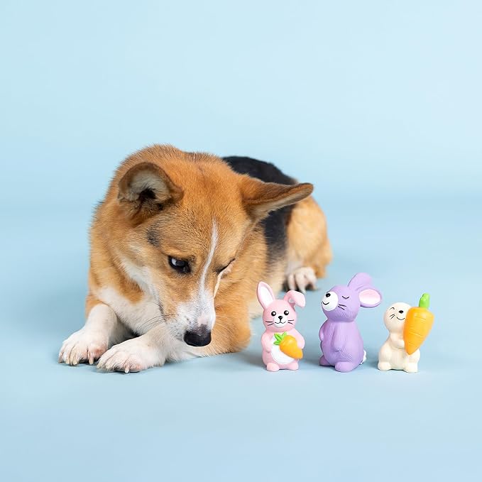 Fringe Studio Latex Dog Toy, 3 Pieces Set, Hopping Love Carrots, Petshop Collection (367072)