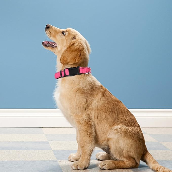 Reflective Dog Collar, Adjustable Soft Neoprene Padded Nylon Pet Collars with Buckle for Small Dogs, Hotpink,S