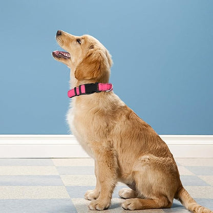 Reflective Dog Collar, Adjustable Soft Neoprene Padded Nylon Pet Collars with Buckle for Medium Dogs, Hotpink,M