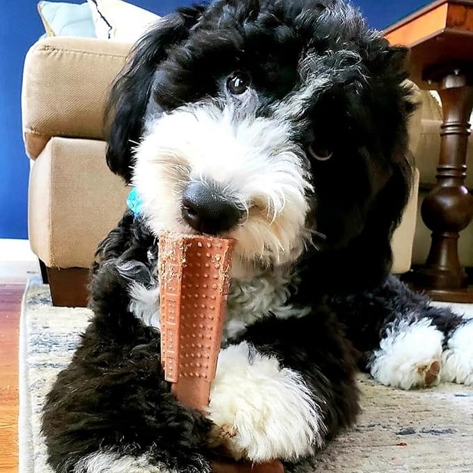 SPOT by Ethical Products 4 in Bambone Plus Easy Grip Peanut Butter, Beef & Chicken Dog Chew Bundle - Bamboo & Nylon Anti Anxiety Bone for Aggressive Chewers & Dental Health for Dogs - Medium (3 Pack)