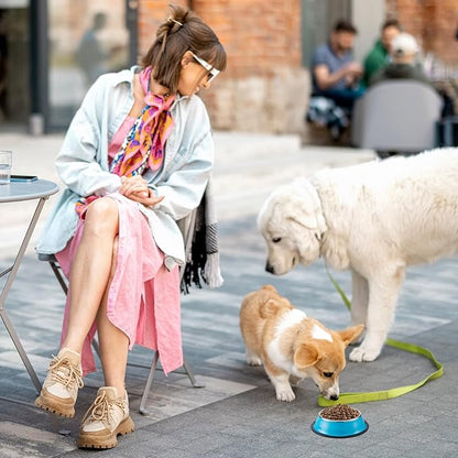 Roshtia 6 Pcs 7 oz Colorful Stainless Steel Dog Bowl Stackable Water and Food Cat Bowl Pet Dishes with Non Slip Silicone Base for Small Medium Dog Cat Kitten